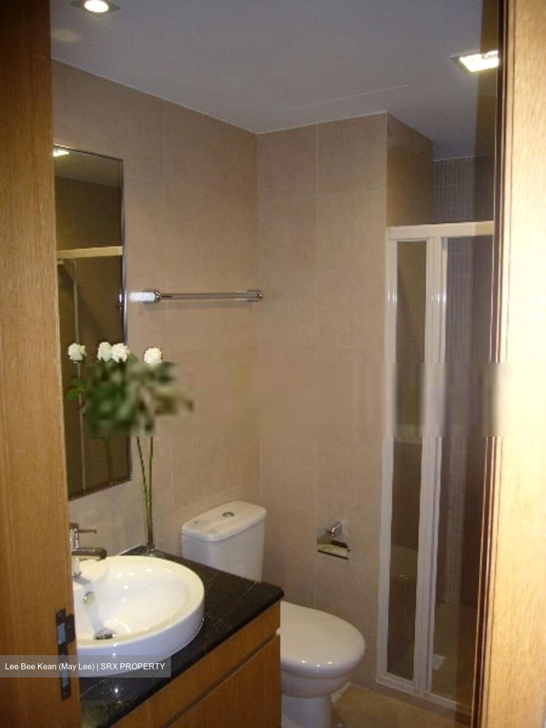 The Lakeshore (D22), Condominium #456637871